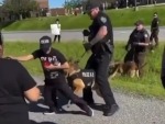 [protestusa] Police Dogs Love Eating Idiots
